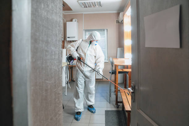 Professional Mold Inspection, Removal & Remediation in Forreston, IL